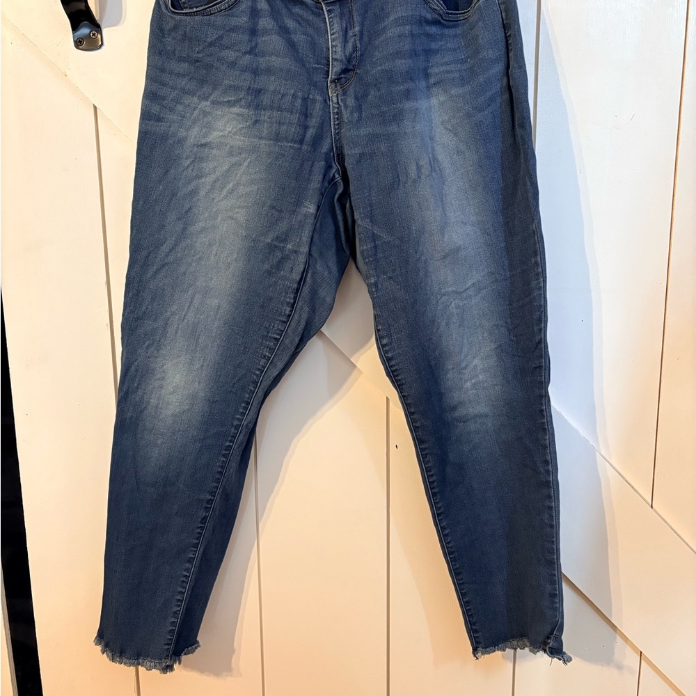 Democracy Classic Blue Jeans